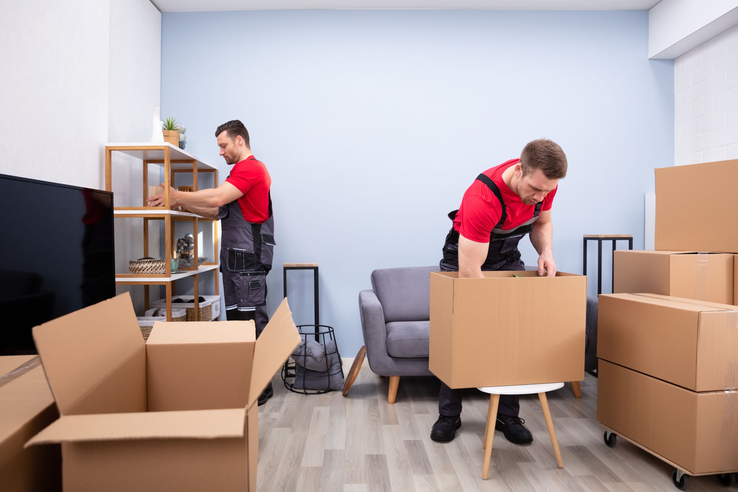 Packers and Movers